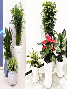 宁波奉化绿植租赁设计